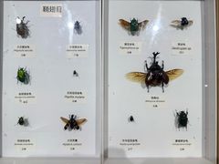 -中国湿地博物馆