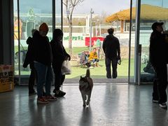 -爪吧宠物乐园 (温榆河示范区店)