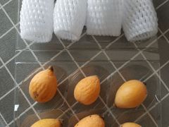 -乐乐鲜果(解放南路店)