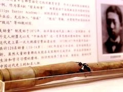 -北京大学赛克勒考古与艺术博物馆