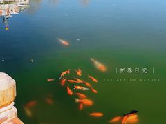 -金城公园