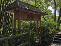 -大屏嶂森林公园
