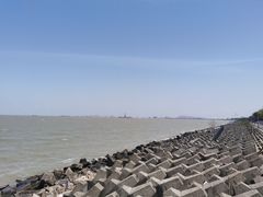 -上海滨江森林公园