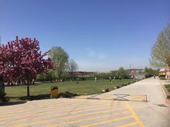 -意大利农场度假村