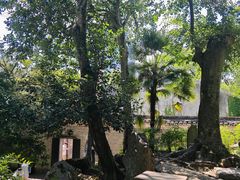 -天一阁博物院