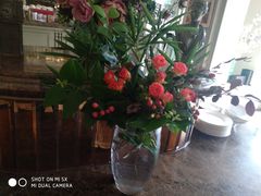 -欧洲房子(宜必思店)