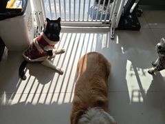 -平行世界·猫咖(首经贸店)