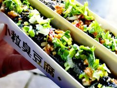 -董顺桃小粒臭豆腐(太平街一店)