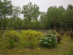 -东郊湿地公园