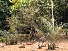 -广州长隆野生动物世界