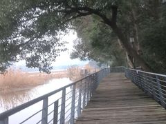 -月湖风景区