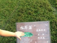 iphone_upload_pic-溱湖国家湿地公园