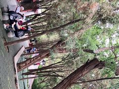 -蓬莱阁景区