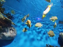 -福州罗源湾海洋世界旅游区