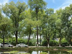 -湖滨客舍·湖北菜