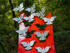 -阳台山自然风景区