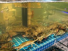 -蓝珊甄选海鲜自助·火锅大排档(近阿那亚店)