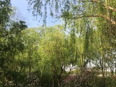 -南汇桃花村
