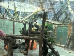 -青藏高原野生动物园