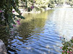-荔湾湖公园