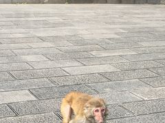 -黔灵山公园-南门售票处