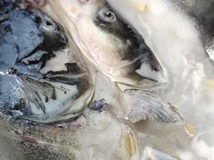 -陈大锅·岳阳鱼馆·地道岳阳菜(美食街店)