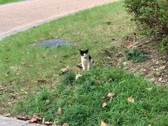 -昆山城市生态森林公园