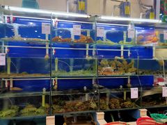 水产区-阿静美食