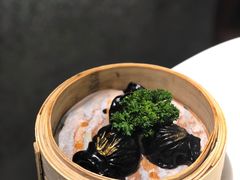 -翩翩黑凤梨