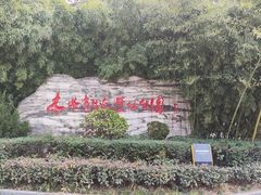 -木塔寺遗址生态公园