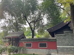 -元大都城垣遗址公园