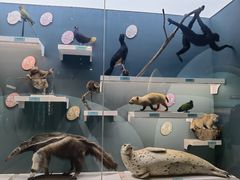 -国家自然博物馆