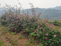 -太阳湾风景区