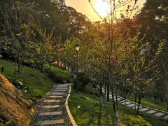 -乌山风景区