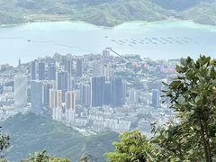 -梧桐山风景名胜区