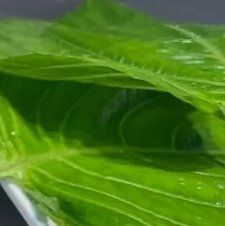 苏子叶-小院烤肉(华钰小区店)