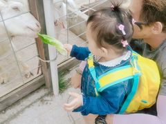 -前小桔亲子创意农场·草莓采摘·露营烧烤
