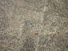 -东方棕泉·洗浴·按摩·美食国际水疗会所(福田店)