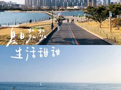 -小麦岛公园