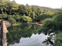 -九龙潭景区