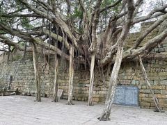-东山风动石景区