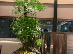 -谭厨中山传家菜.乳鸽.脆鲩鱼(华强北中航城店)
