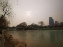 -雁滩公园