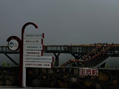 -王莽岭风景区