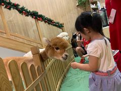 -藦茜花园宠物主题亲子互动体验馆(国顺东路店)