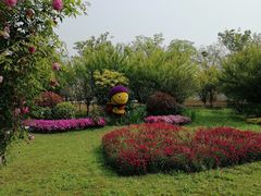 -鹅湖玫瑰文化园