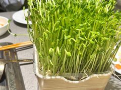 -海底捞火锅(方圆荟店)