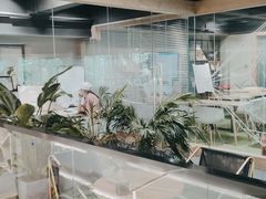 -磁课·成人英语·雅思培训(高新校区)
