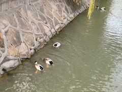 -上海交通大学(闵行校区)