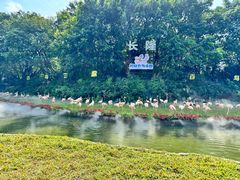 -广州长隆飞鸟乐园